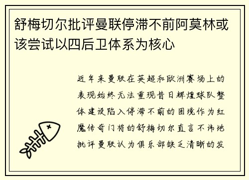 舒梅切尔批评曼联停滞不前阿莫林或该尝试以四后卫体系为核心